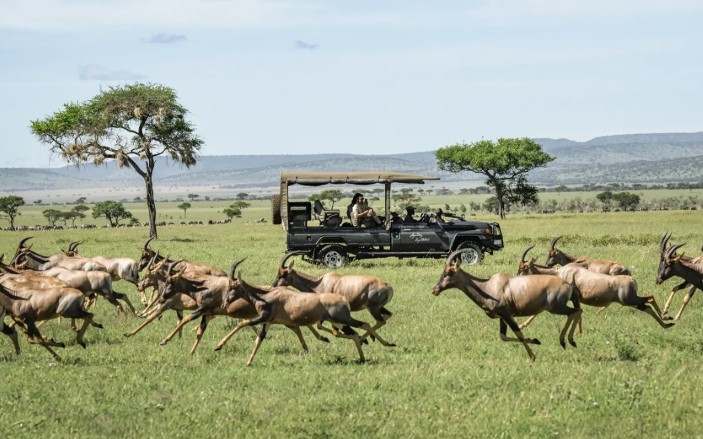 Beyond The Plains Safaris