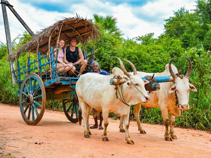 Antipode Perou Francophone