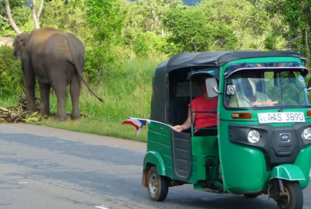 Antipode Perou Francophone