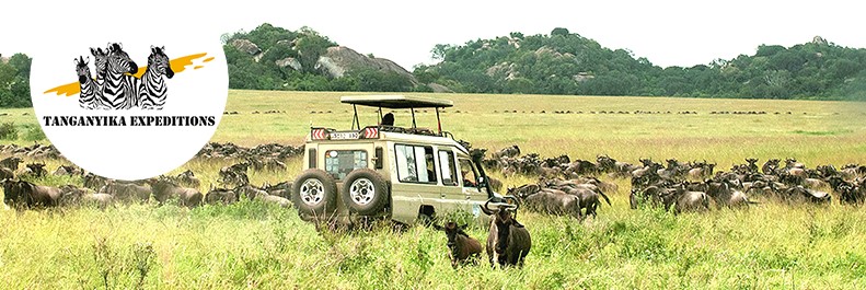 © Tanganyika Expeditions