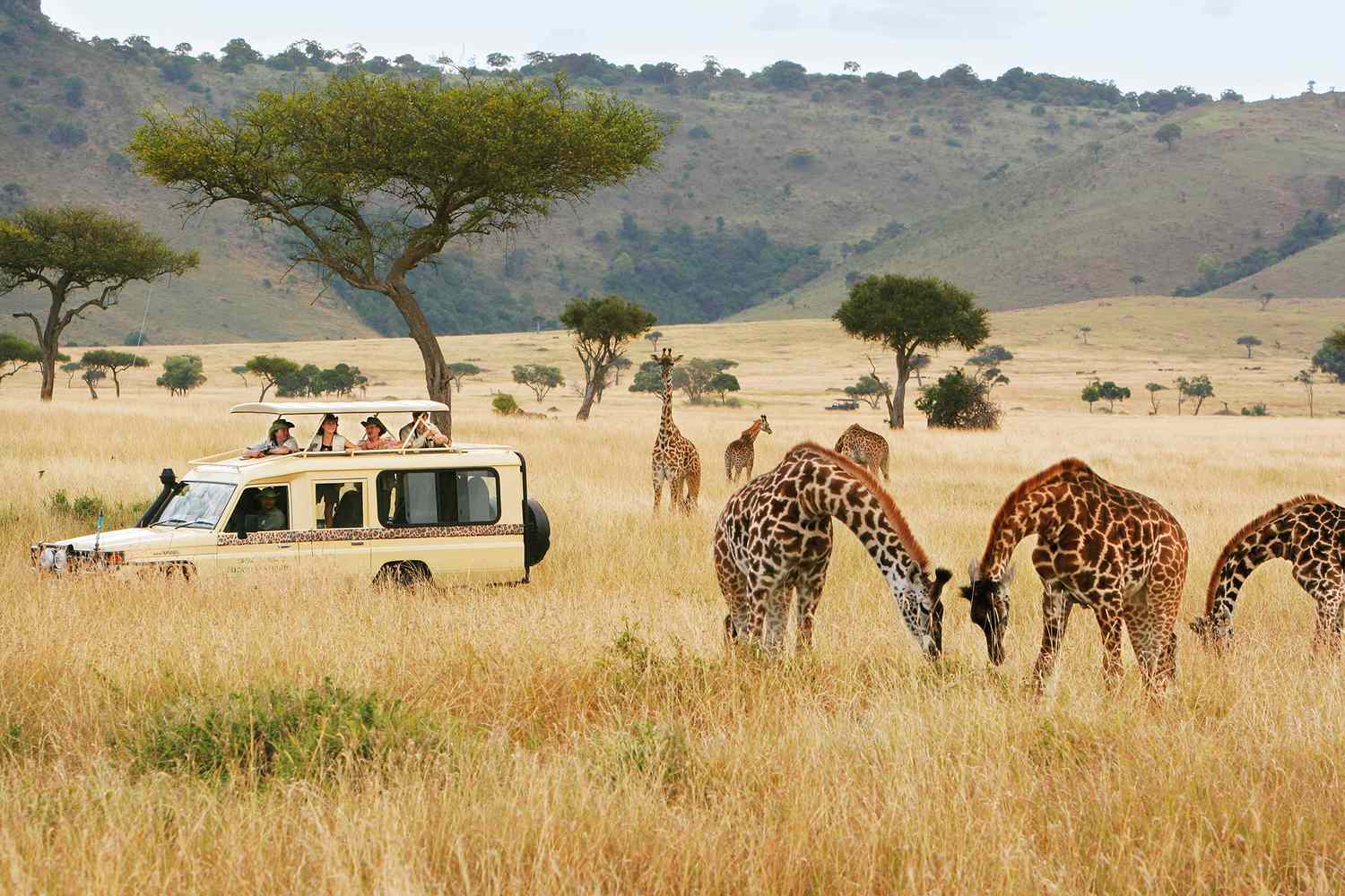AFRICA TYPIQUE SAFARIS