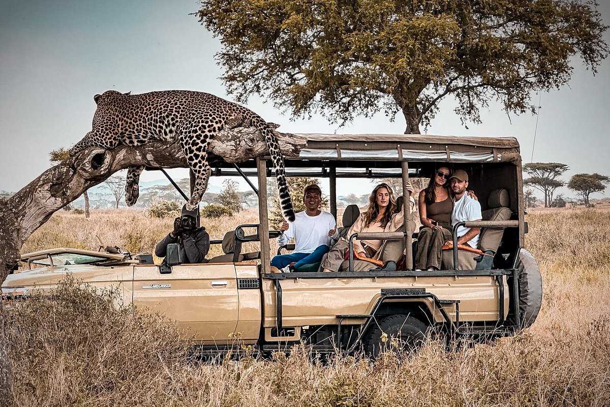 AFRICA TYPIQUE SAFARIS
