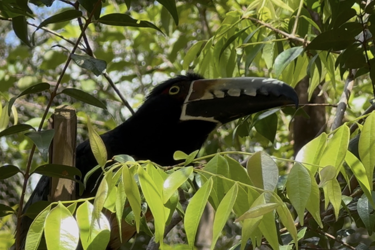 Pourquoi proposer le Belize à vos clients