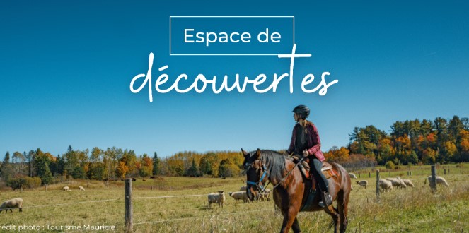 Baluchon